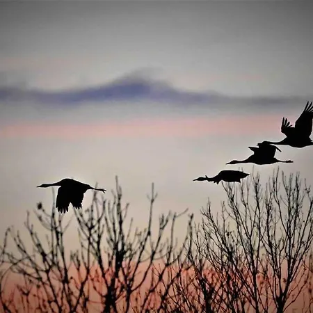 12a Jusque 4 Pers Bulle Der Du Der Nyaraló