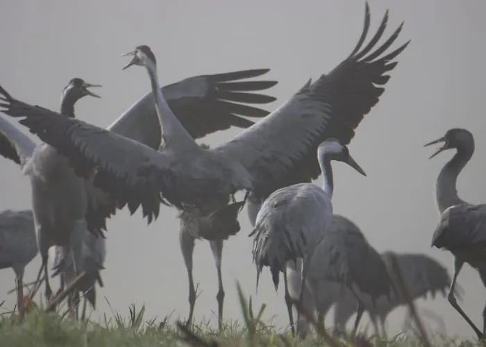 בית נופש 12a Jusque 4 Pers Bulle Der Du Der