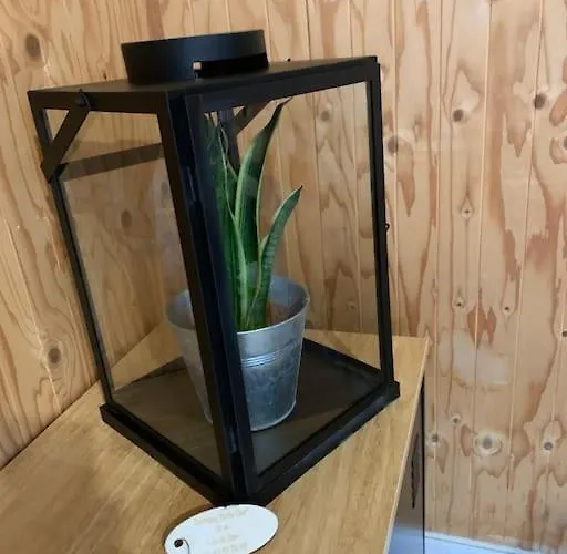 בית נופש 12a Jusque 4 Pers Bulle Der Du Der