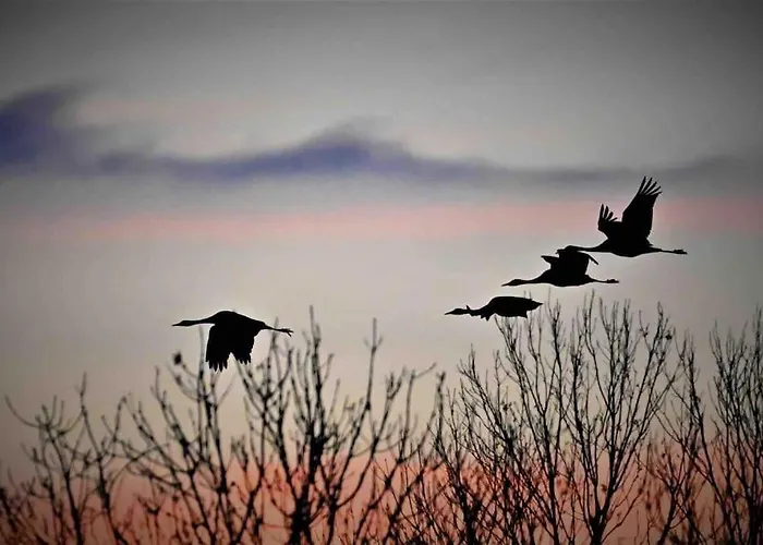 12a Jusque 4 Pers Bulle Der Du Der בית נופש